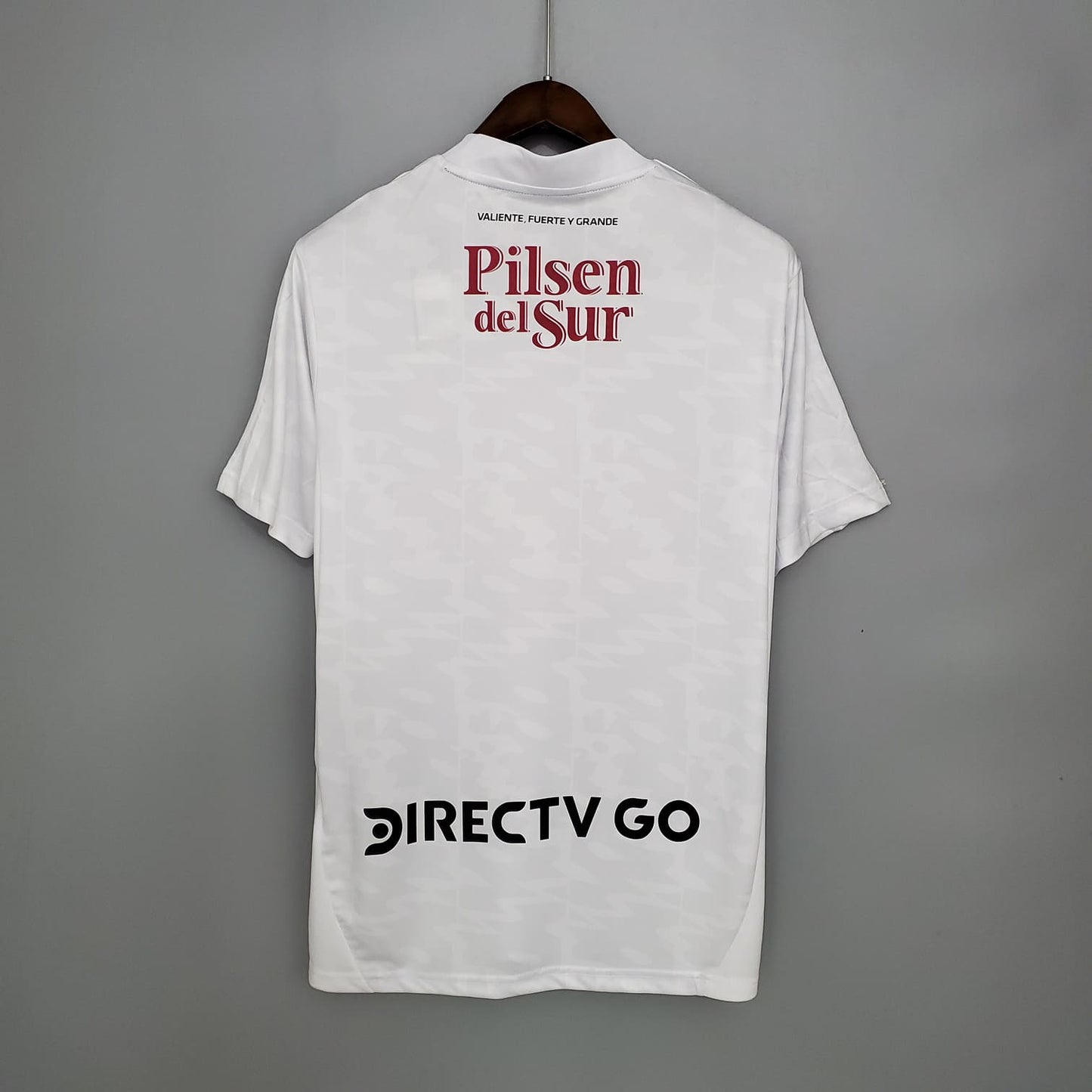 Camiseta Colo-Colo Local 2022-2023 Versión Fan