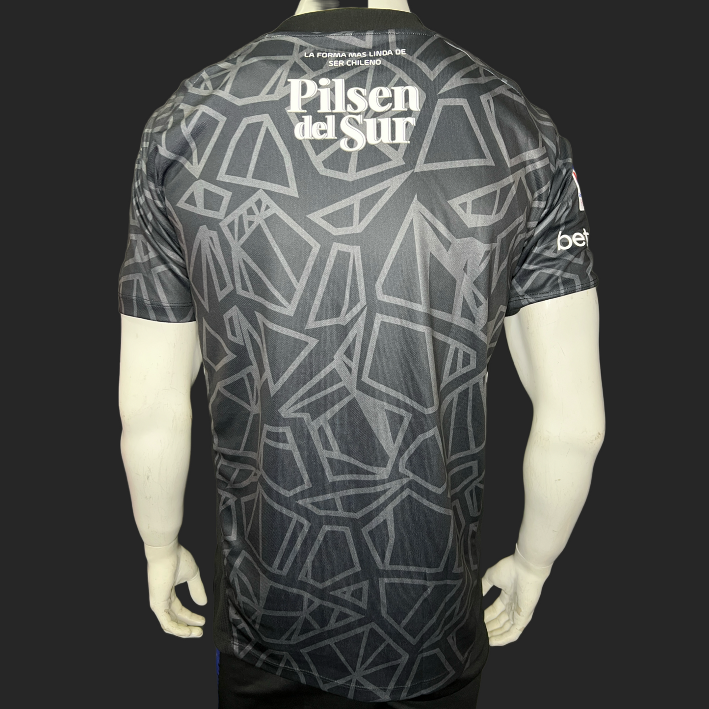 Camiseta Colo-Colo Arquero 2022-2023 Versión Fan