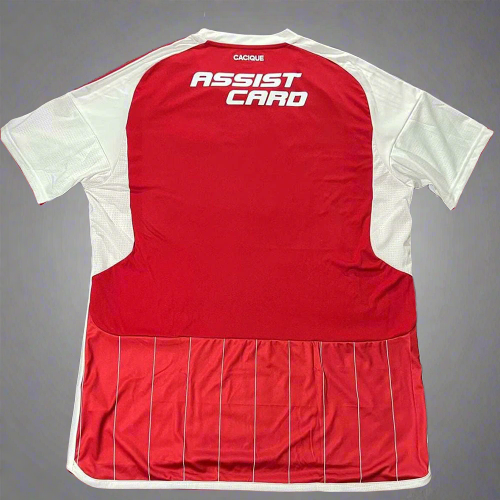 Camiseta Colo-Colo Tercera 2024-2025 Version Fan BW