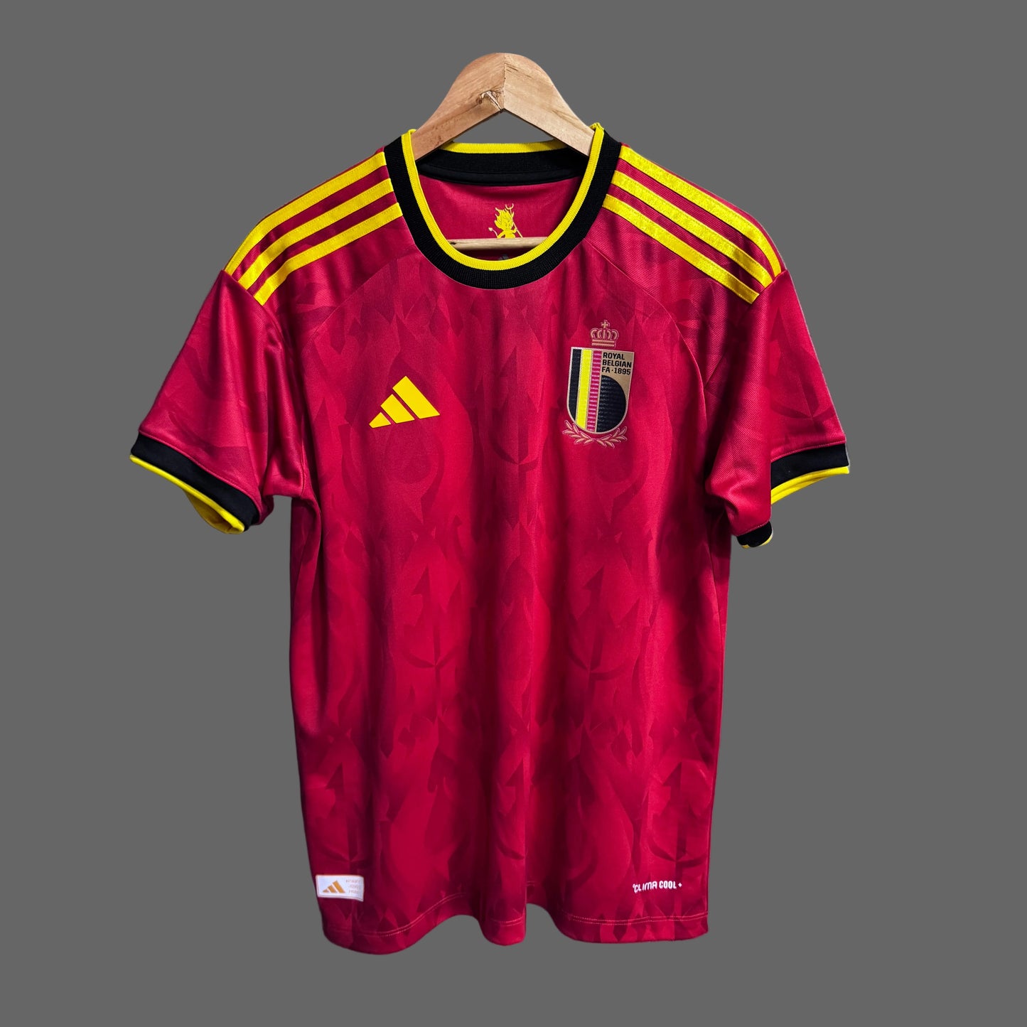 Camiseta Belgica 2025-2026 Version Fan